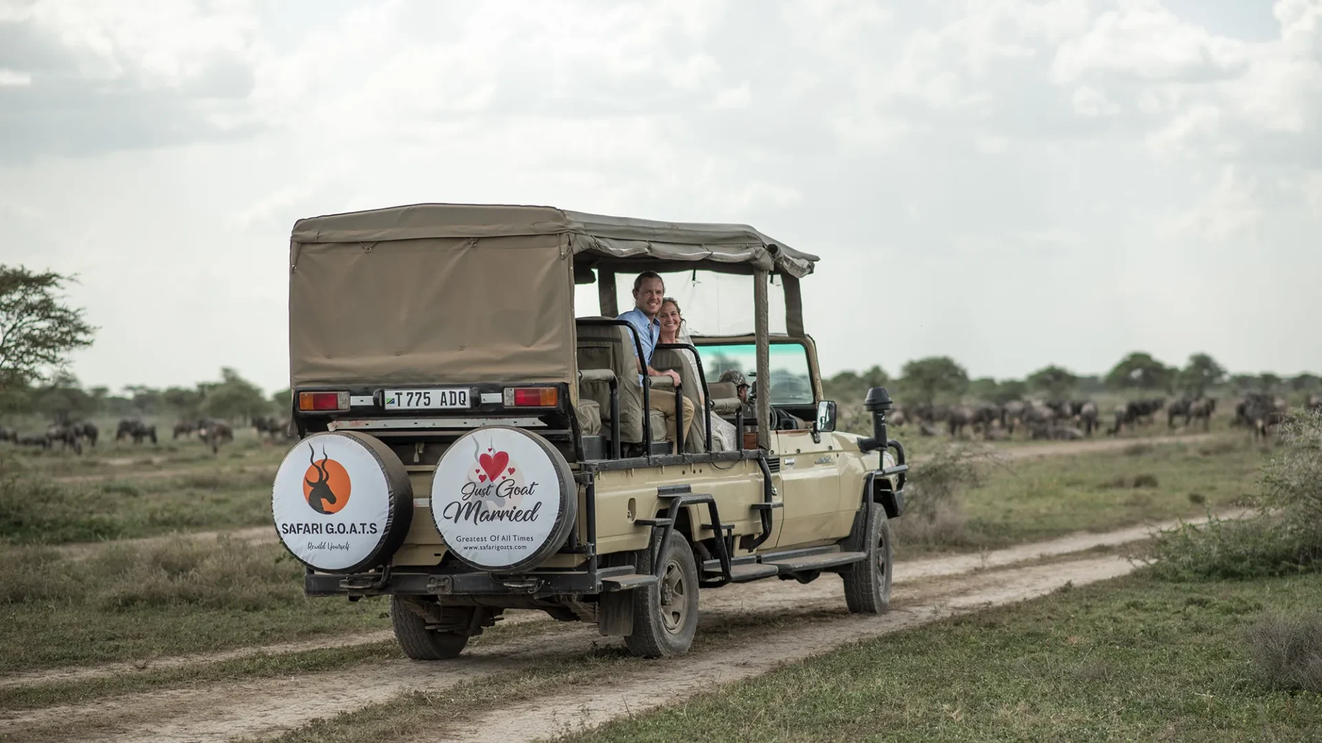 Game drive in Tanzania